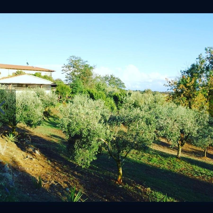 Agriturismo Colleverde Capalbio Extérieur photo