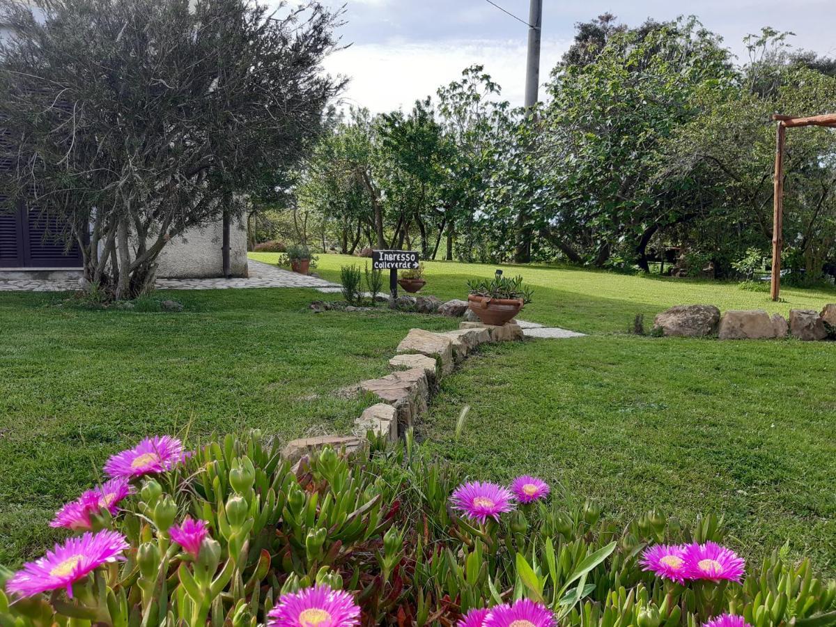 Agriturismo Colleverde Capalbio Extérieur photo
