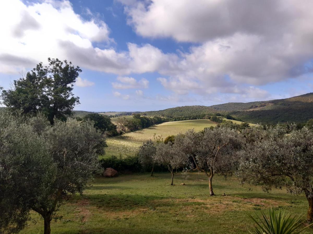 Agriturismo Colleverde Capalbio Extérieur photo